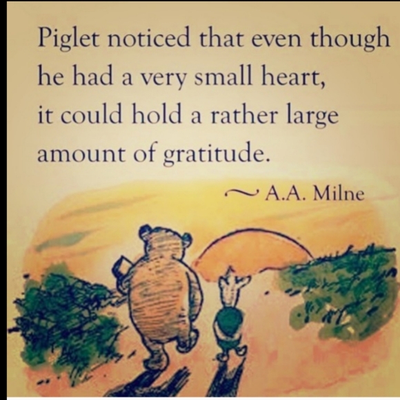 Cabela's  River Birch Stoneware 10" Soup Bowl 🍜 - Picture 6 of 16